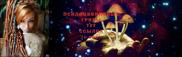 mix Арсеньев