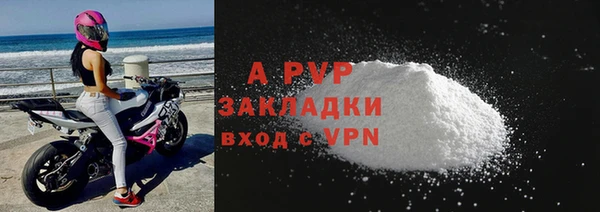 PSILOCYBIN Аркадак