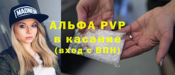 PSILOCYBIN Аркадак