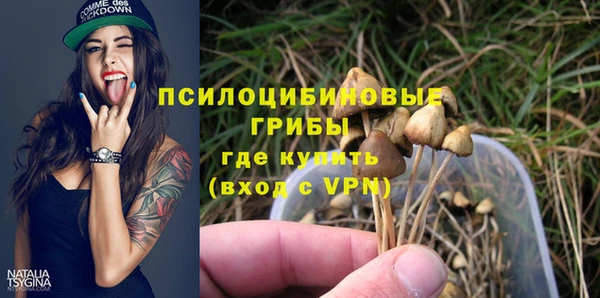 гашик Пересвет