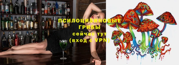 PSILOCYBIN Аркадак