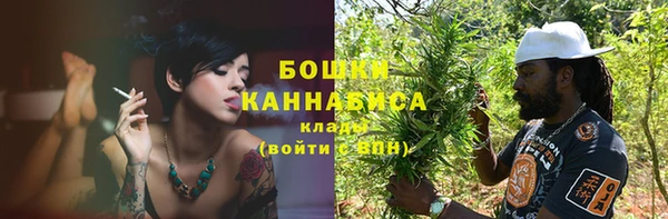 гашик Пересвет